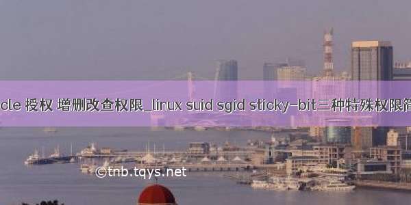 oracle 授权 增删改查权限_linux suid sgid sticky-bit三种特殊权限简介