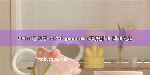 VEGF启动子 VEGF promoter英语短句 例句大全