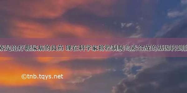 单选题胰岛素是治疗糖尿病的良药 现在科学家将控制胰岛素合成的基因转到能快速繁殖的