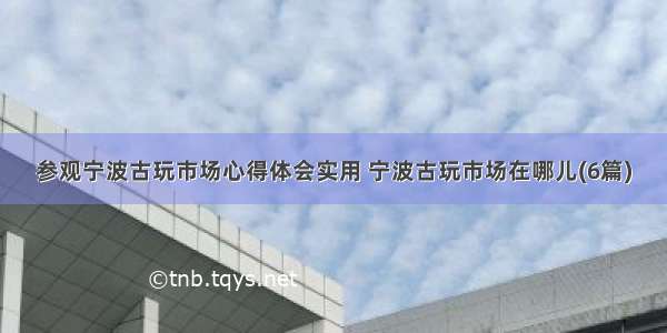 参观宁波古玩市场心得体会实用 宁波古玩市场在哪儿(6篇)