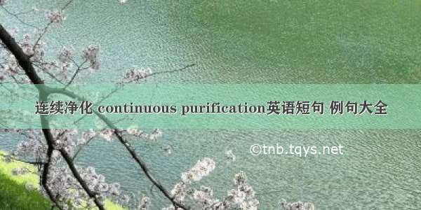 连续净化 continuous purification英语短句 例句大全