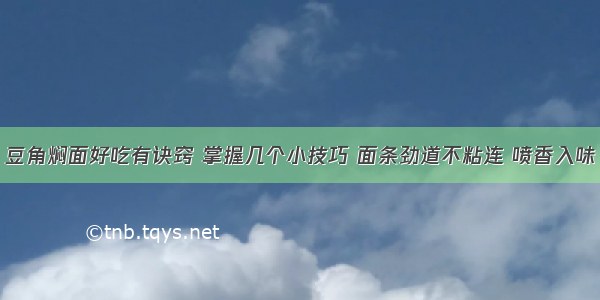 豆角焖面好吃有诀窍 掌握几个小技巧 面条劲道不粘连 喷香入味