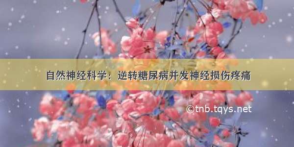 自然神经科学：逆转糖尿病并发神经损伤疼痛