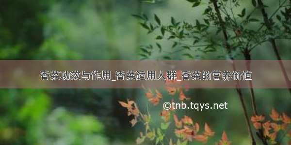 香菜功效与作用_香菜适用人群_香菜的营养价值