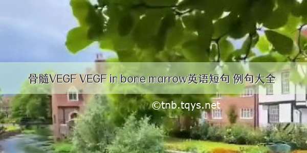 骨髓VEGF VEGF in bone marrow英语短句 例句大全