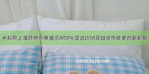 中科院上海药物所等揭示AMPK促进DNA双链损伤修复的新机制