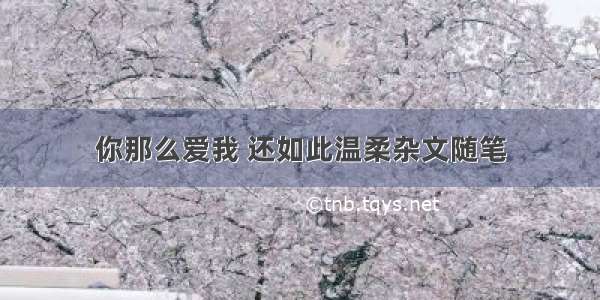 你那么爱我 还如此温柔杂文随笔