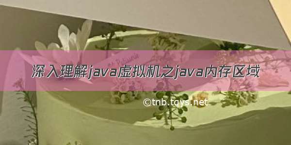 深入理解java虚拟机之java内存区域