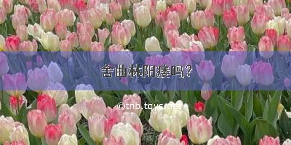 舍曲林阳痿吗？