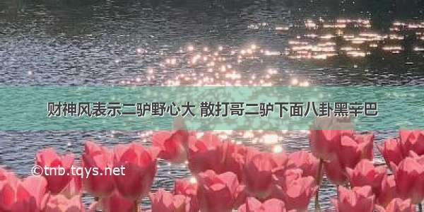 财神风表示二驴野心大 散打哥二驴下面八卦黑辛巴