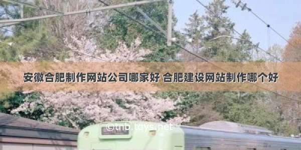 安徽合肥制作网站公司哪家好 合肥建设网站制作哪个好