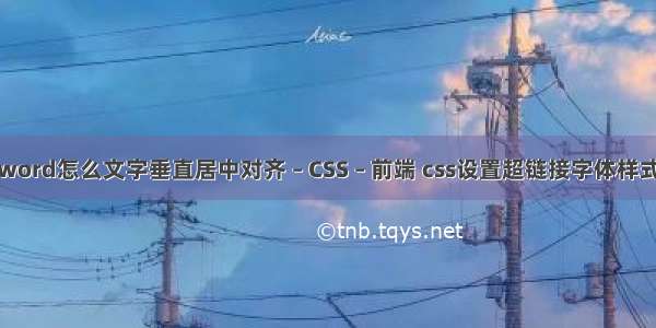 word怎么文字垂直居中对齐 – CSS – 前端 css设置超链接字体样式