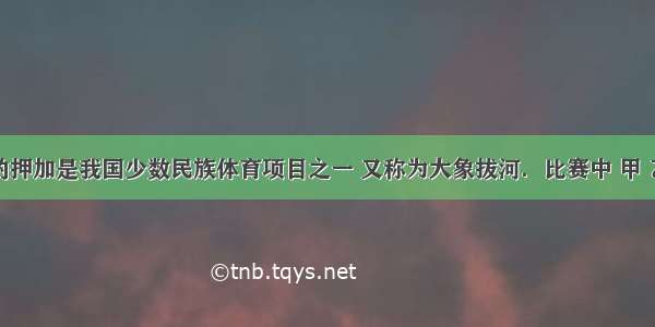 如图所示的押加是我国少数民族体育项目之一 又称为大象拔河．比赛中 甲 乙双方通过