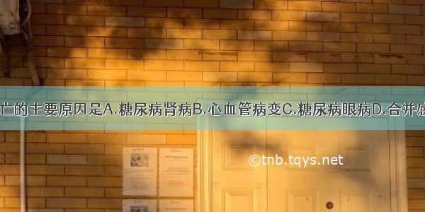 1型糖尿病死亡的主要原因是A.糖尿病肾病B.心血管病变C.糖尿病眼病D.合并感染E.糖尿病