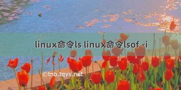 linux命令ls linux命令lsof -i