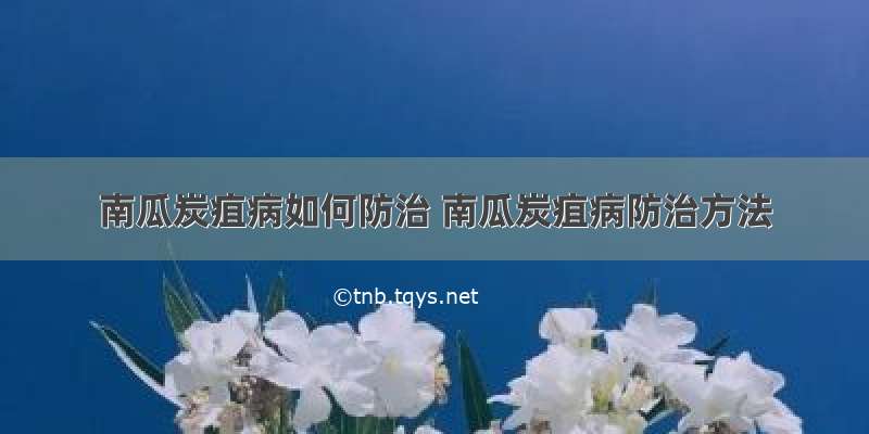 南瓜炭疽病如何防治 南瓜炭疽病防治方法