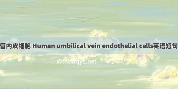 脐静脉血管内皮细胞 Human umbilical vein endothelial cells英语短句 例句大全