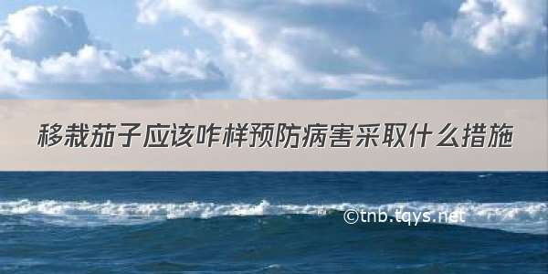 移栽茄子应该咋样预防病害采取什么措施