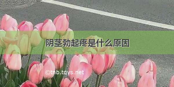 阴茎勃起疼是什么原因