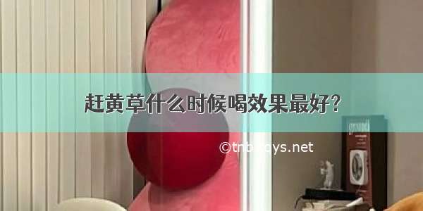 赶黄草什么时候喝效果最好？