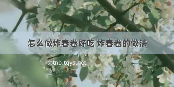 怎么做炸春卷好吃 炸春卷的做法