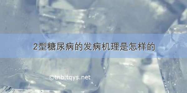 2型糖尿病的发病机理是怎样的