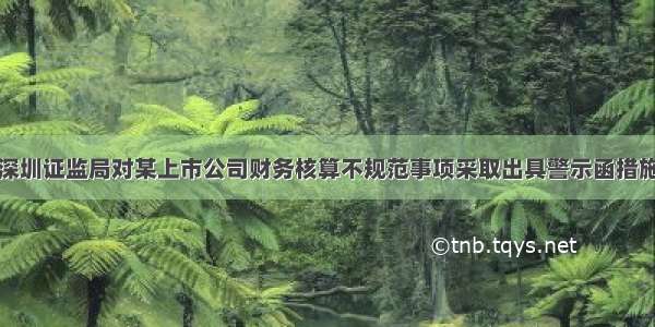 深圳证监局对某上市公司财务核算不规范事项采取出具警示函措施