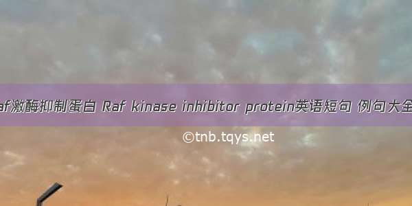 Raf激酶抑制蛋白 Raf kinase inhibitor protein英语短句 例句大全