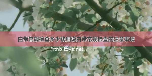 白带常规检查多少钱细说白带常规检查的注意事项