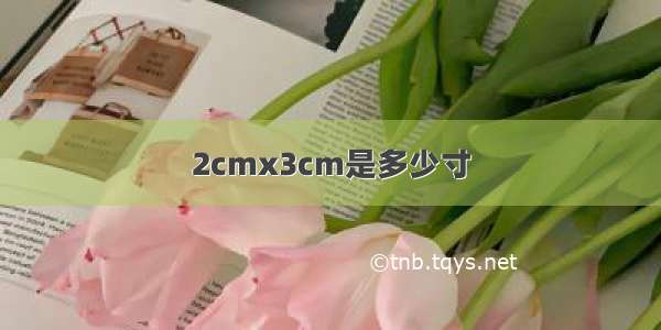 2cmx3cm是多少寸