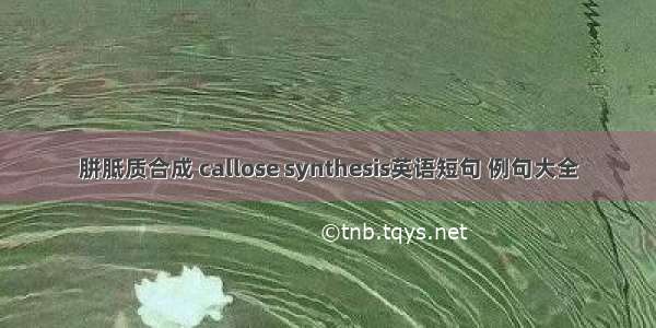 胼胝质合成 callose synthesis英语短句 例句大全