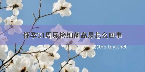 怀孕31周尿检细菌高是怎么回事