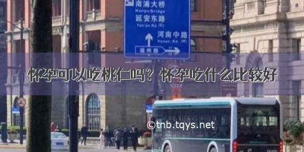 怀孕可以吃桃仁吗？怀孕吃什么比较好