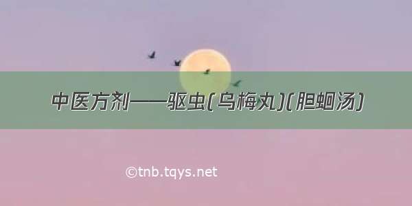 中医方剂——驱虫(乌梅丸)(胆蛔汤)