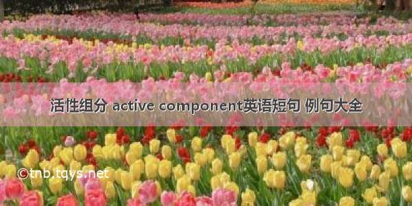 活性组分 active component英语短句 例句大全