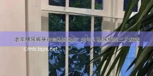 老年糖尿病昼夜血糖应稳定_老年人糖尿病的三大病因