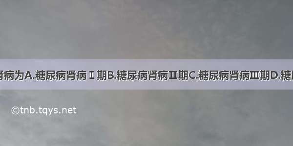 临床糖尿病肾病为A.糖尿病肾病Ⅰ期B.糖尿病肾病Ⅱ期C.糖尿病肾病Ⅲ期D.糖尿病肾病Ⅳ期