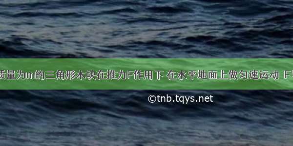 如图所示 质量为m的三角形木块在推力F作用下 在水平地面上做匀速运动．F与水平方向