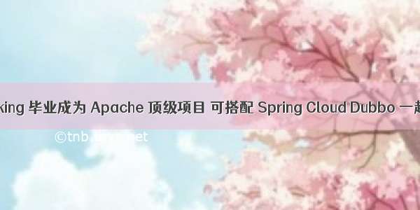 SkyWalking 毕业成为 Apache 顶级项目 可搭配 Spring Cloud Dubbo 一起食用