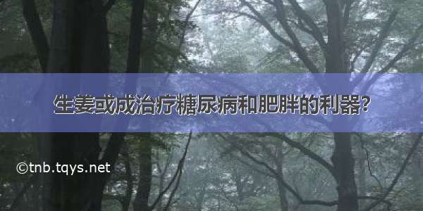 生姜或成治疗糖尿病和肥胖的利器？