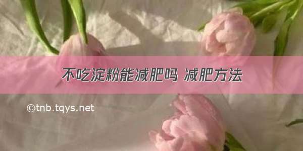 不吃淀粉能减肥吗 减肥方法