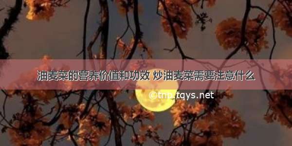 油麦菜的营养价值和功效 炒油麦菜需要注意什么