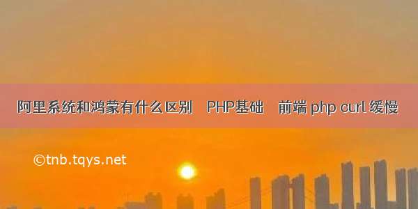 阿里系统和鸿蒙有什么区别 – PHP基础 – 前端 php curl 缓慢