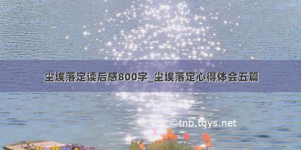 尘埃落定读后感800字_尘埃落定心得体会五篇