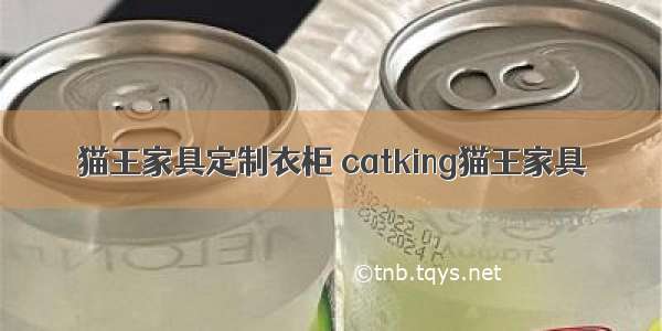 猫王家具定制衣柜 catking猫王家具