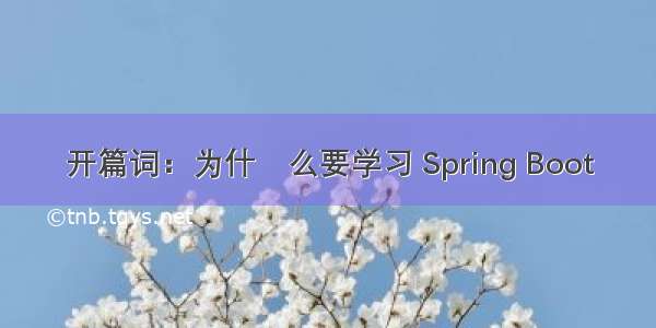 开篇词：为什什么要学习 Spring Boot