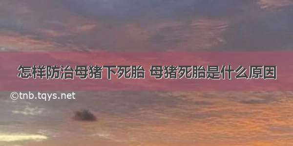 怎样防治母猪下死胎 母猪死胎是什么原因