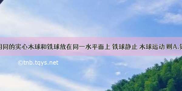 如图体积相同的实心木球和铁球放在同一水平面上 铁球静止 木球运动 则A.铁球与木球