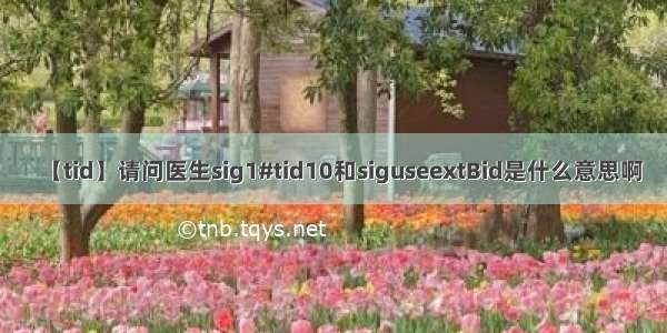 【tid】请问医生sig1#tid10和siguseextBid是什么意思啊