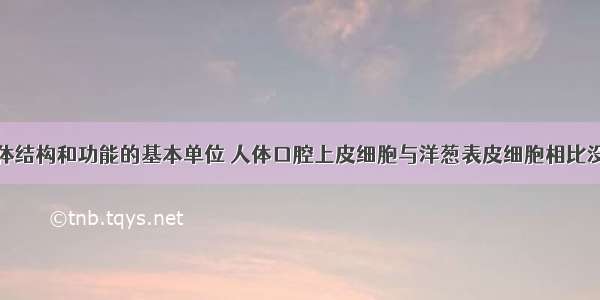 细胞是生物体结构和功能的基本单位 人体口腔上皮细胞与洋葱表皮细胞相比没有的结构是